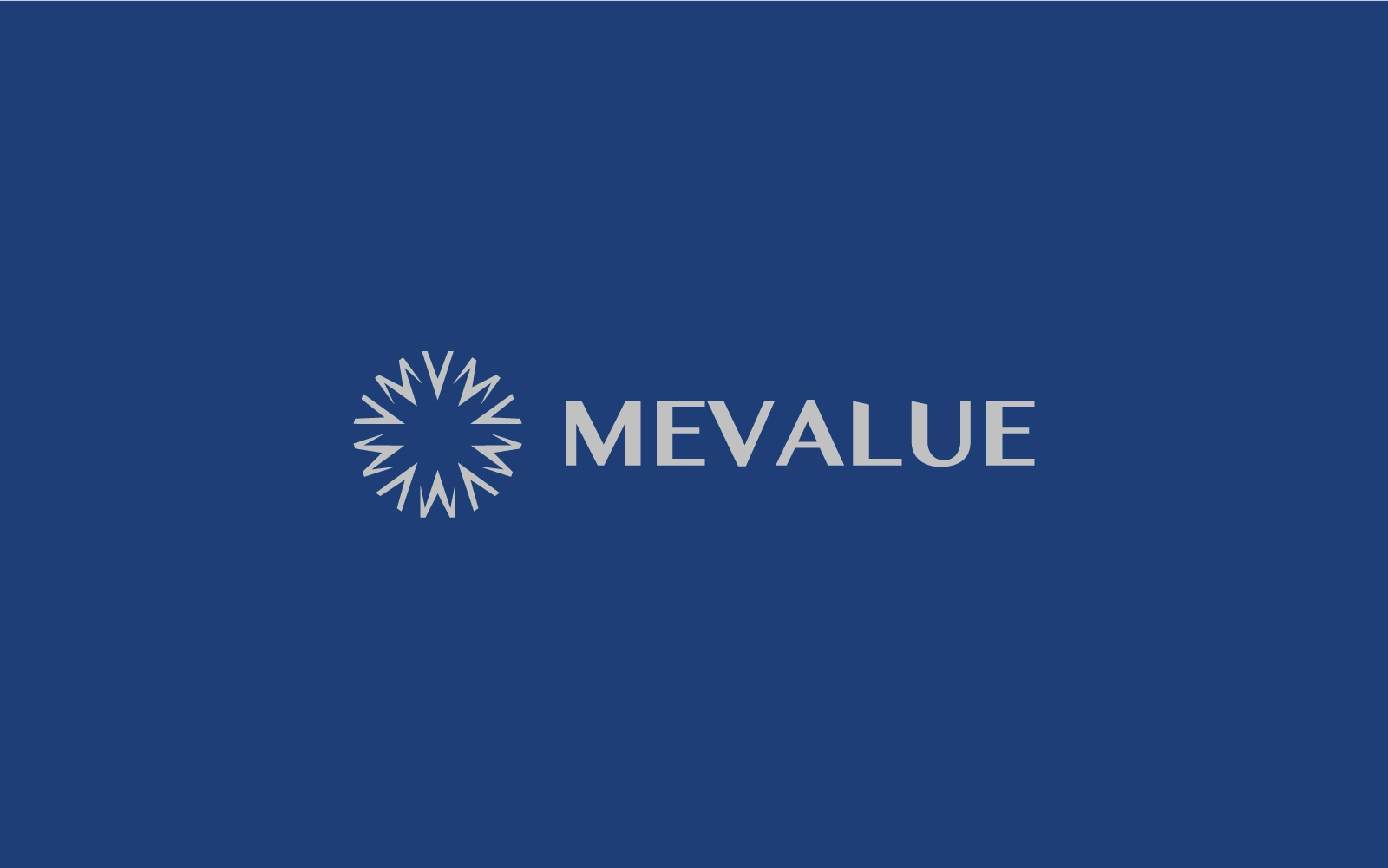 هوية MEVALUE البصرية